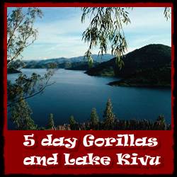 5-days-gorillas-lake-kivu