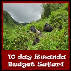 10-day-budget-safari-Rwanda--link