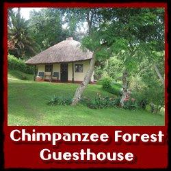 Chimpanzee-Forest-Guest-House1