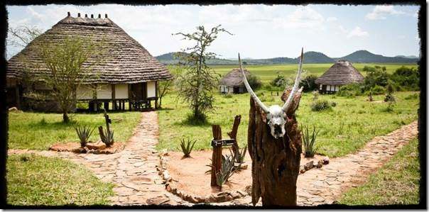 Apoka-Safari-Lodge-cottages