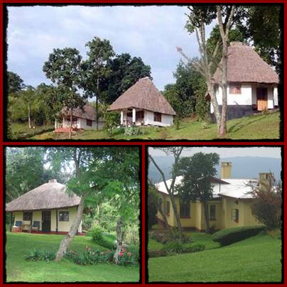 Chimpanzee Forest Guest House - Kibale Forest