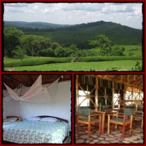 Chimpanzee Forest Guest House - Kibale Forest