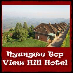 Top Lodging Choices - Nyungwe Forest National Park