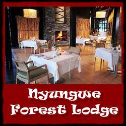 Top Lodging Choices - Nyungwe Forest National Park