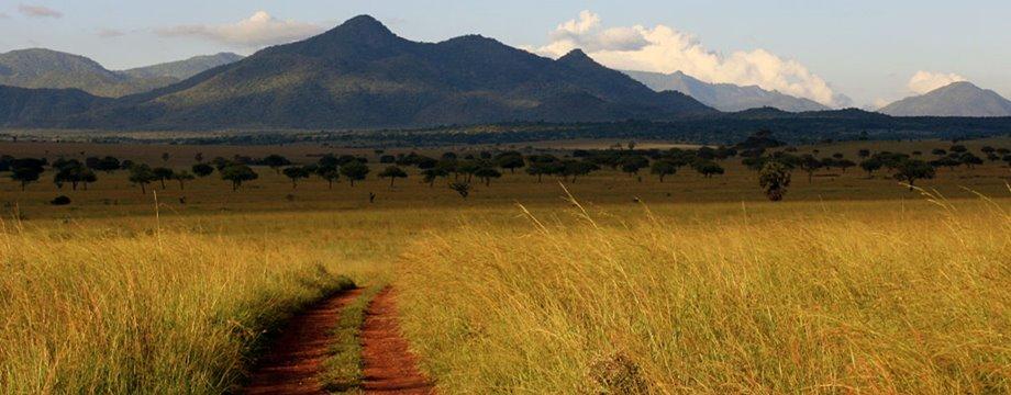 Discover Africa as it used to be-Discover it in Kidepo Valley Park Uganda