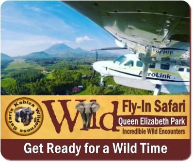 Fly-In Wildlife Safari