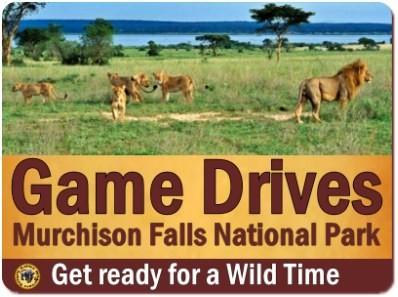 3 Day Luxury Fly-In Wildlife Safari - Murchison Falls Park in Uganda