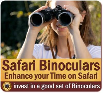 Best Binoculars for your African Safari in Uganda