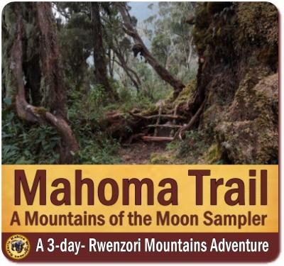 3-Day Mahoma Trail Hike - Rwenzori Mountains