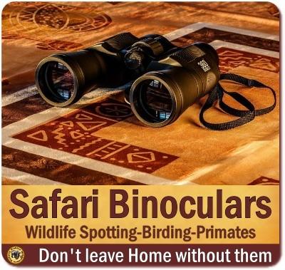 Binoculars for your African Safari