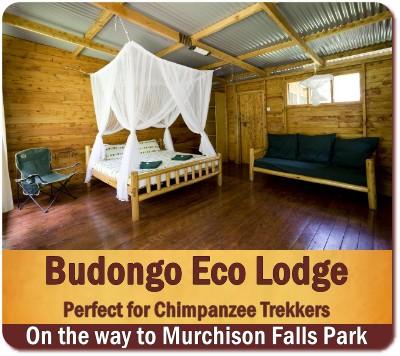 Affordable Budongo Eco-Lodge in the Heart of Budongo Forest