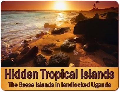 Top Things to do and see on the Ssese Islands