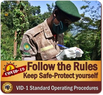 Chimpanzee Trekking Rules - Regulations in Uganda