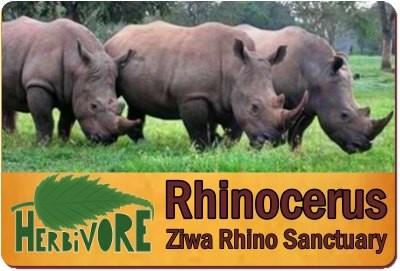 Ziwa Rhino Sanctuary Rhino Trekking on Foot in Uganda