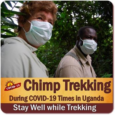 Chimpanzee Trekking Rules - Regulations in Uganda