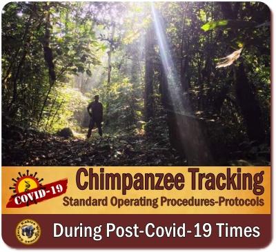 Chimpanzee Trekking Rules - Regulations