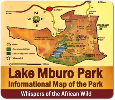 Top Things to Do and See at Lake Mburo Park-Whispers of the Wild