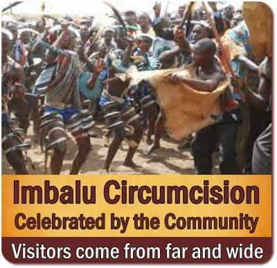 The  Bagisu Imbalu PublicCircumcision Rites where Boys become Men