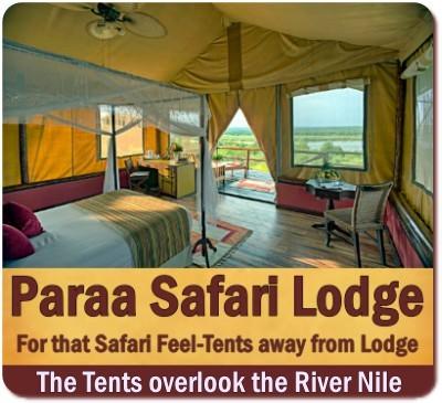 Paraa Safari Lodge - Best Location in Murchison Falls Park