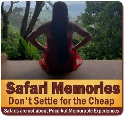 Comparing the Price of Safaris