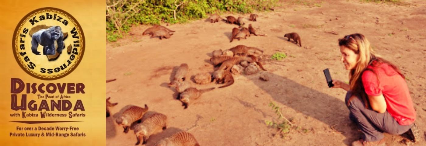 Best Place to see the Banded Mongoose in Uganda