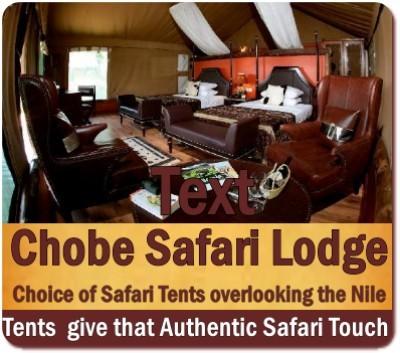 The Luxury Chobe Safari Lodge on the Nile in Murchison Falls Park