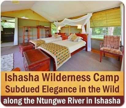 Ishasha Wilderness Camp - Ishasha - Queen Elizabeth Park