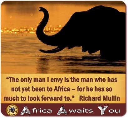 The Best African Travel and Safari Quotes