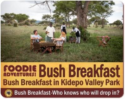 4-Day Luxury Fly-In Kidepo Valley Park Wildlife Safari