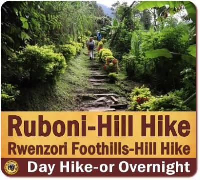 Hitting the Trails in the Rwenzori Mountains Foothills