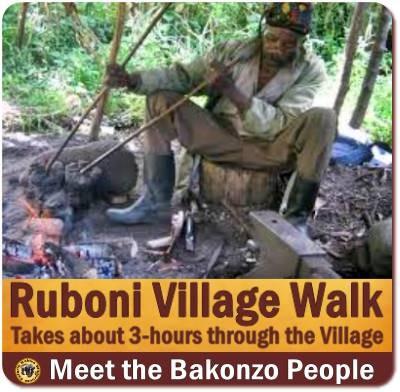 3-Day Mahoma Trail Hike - Rwenzori Mountains of the Moon