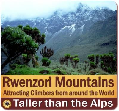 Hitting the Trails in the Rwenzori Mountains Foothills