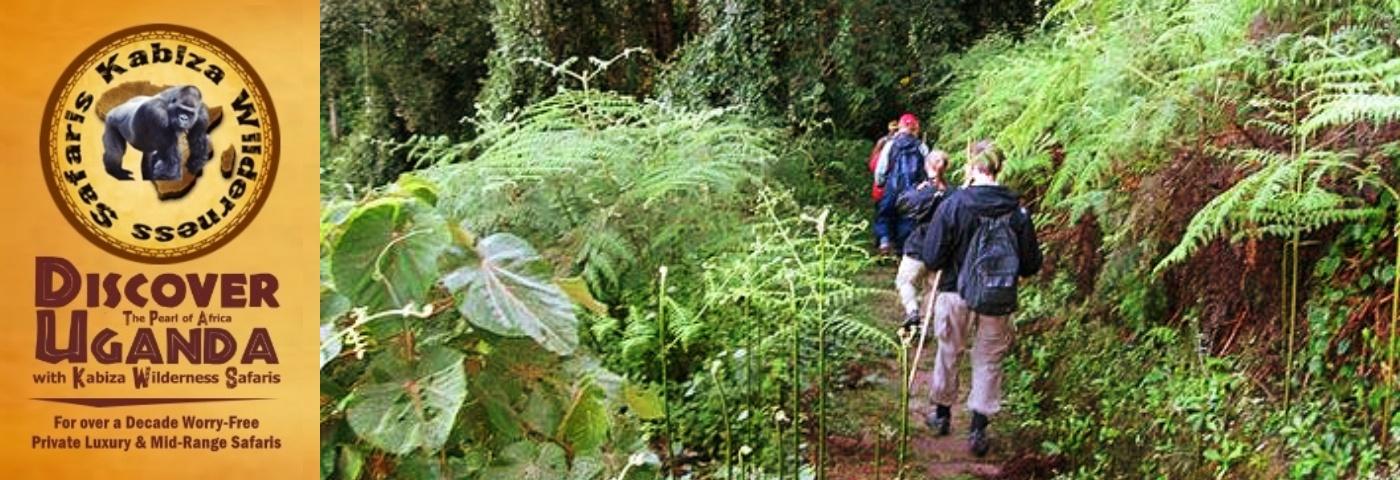 14-Day Adventure Family Safari with Teens in Uganda the Pearl of Africa