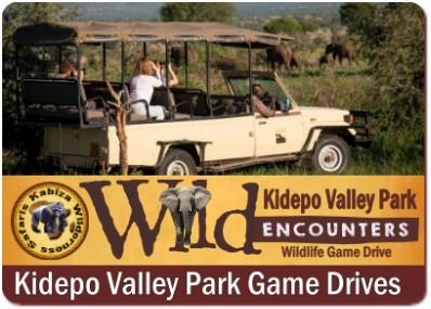 Top Things to Do and See in Kidepo Valley Park - Northeast Uganda