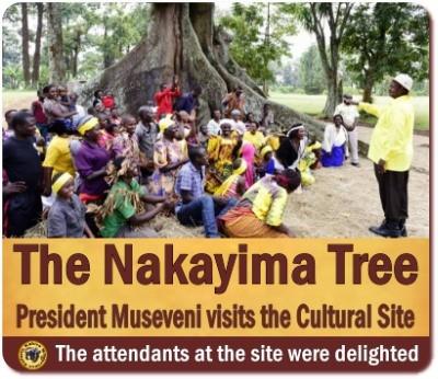 The Nakayima Tree in Mubende-a Cultural Heritage Site