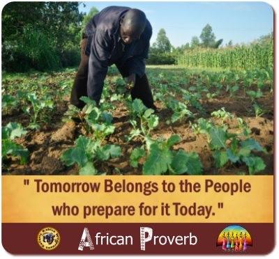 Inspiring African Proverbs - Ancient Wisdom for Today