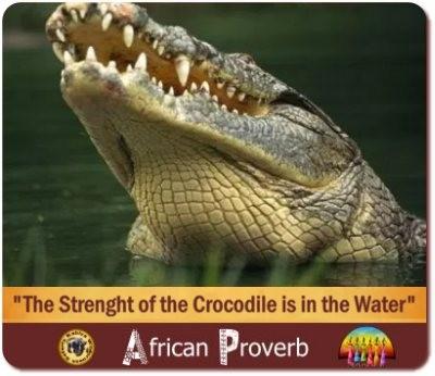 Inspiring African Proverbs - Ancient Wisdom for Today