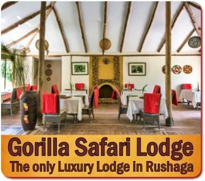 Gorilla Safari Lodge in the  Rushaga area of Bwindi Impenetrable Forest