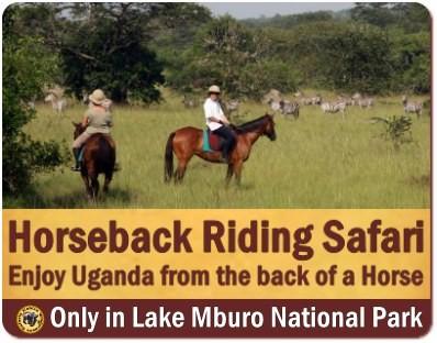 Horseback Wildlife Safari at Lake Mburo Park