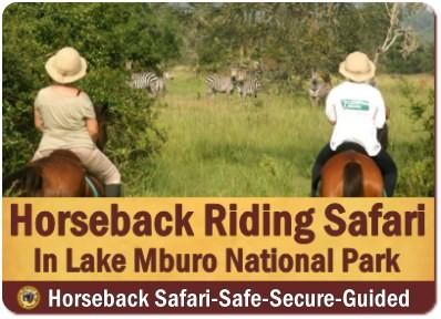 Horseback Wildlife Safari - Lake Mburo Park