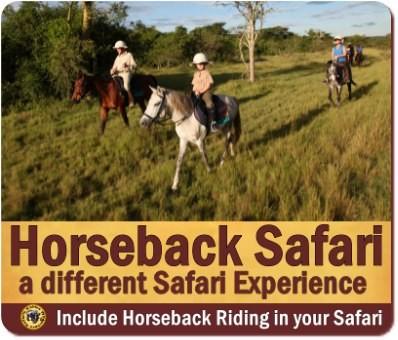 Horseback Wildlife Safari at Lake Mburo Park