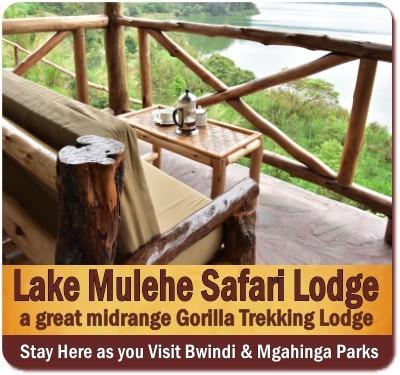 Lake Mulehe Safari Lodge-The perfect base lodge for Trekkers and Adventurers