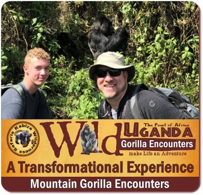 Avoid making the The Number 1 Gorilla Permit Mistake