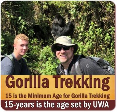 Minimum Age for Gorilla Trekking