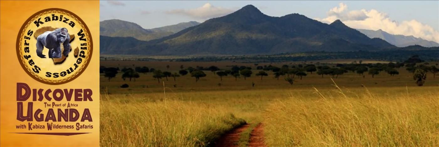 The Best Kidepo Valley Park Wildlife Safaris - Uganda