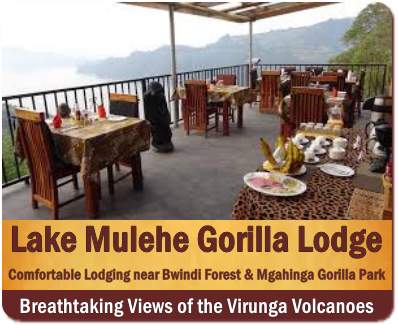 Top Lodging Choices - Mgahinga Gorilla Park - Lake Mutanda