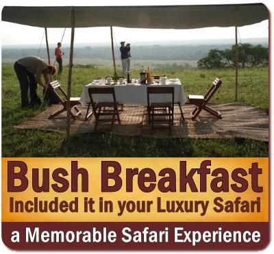 Traditional Bush Breakfast on Safari in Uganda