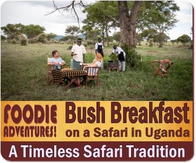 Traditional Bush Breakfast on Safari in Uganda