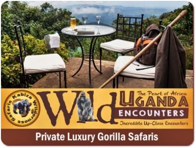 3 Day Luxury Gorilla Habituation Experience Safari