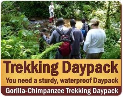 Waterproof Daypack for your Gorilla Trekking Safari in Uganda